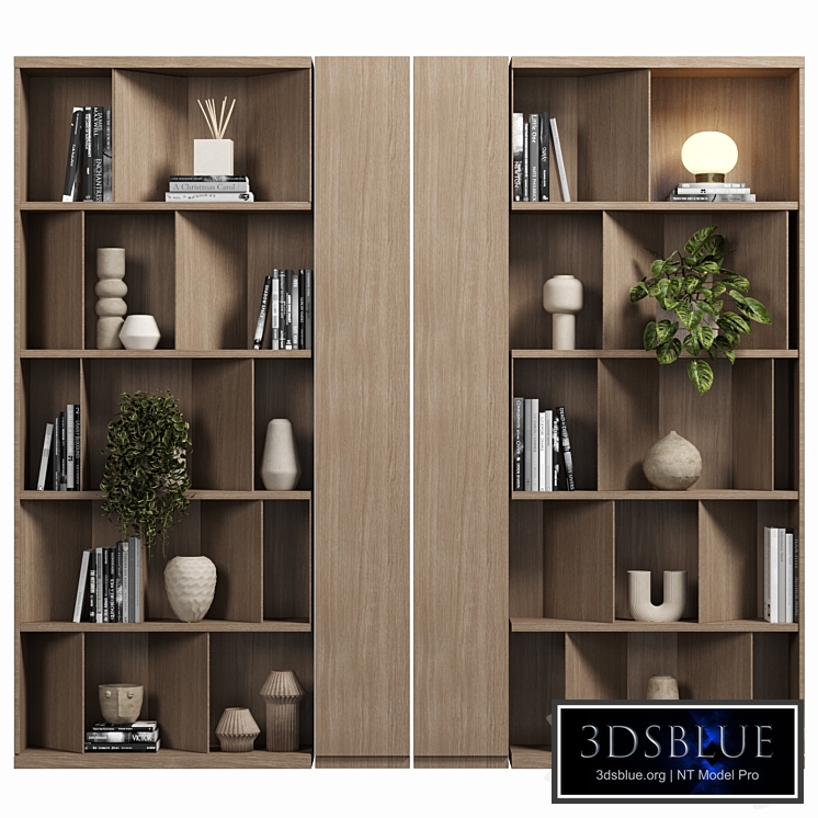 Cabinet with shelves 092