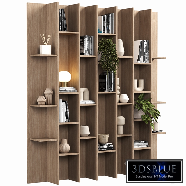 Cabinet with shelves 088