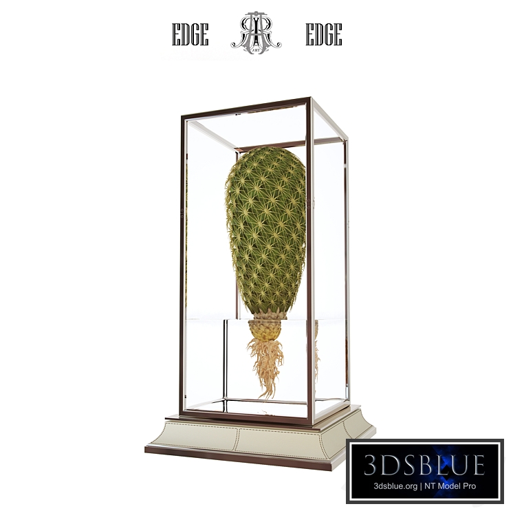 Cactus in a vase on a stand