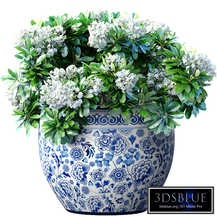 Bouquet of white flowers in a potted vase for decoration