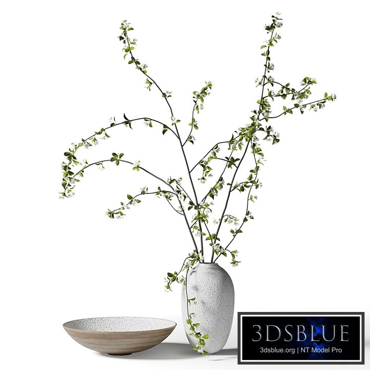 Spring branches in a vase