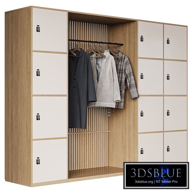 Gym Locker \ Lockers in the locker room 3