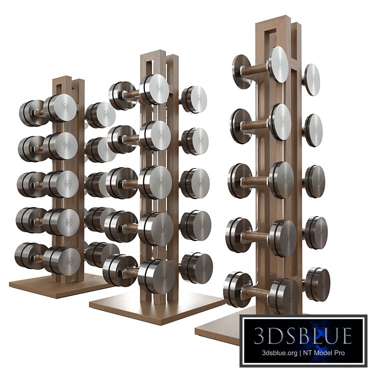 Dumbbell set