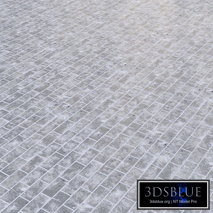 Texture of snow-covered paving stones