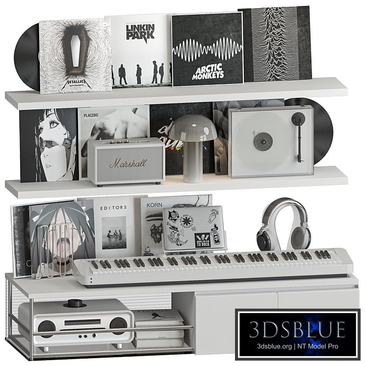 Shelf with Vinyl Records and Music equipment