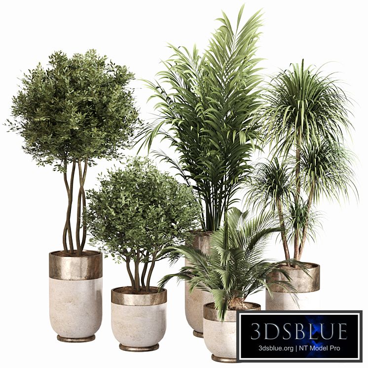 Indoor Plant Set 053