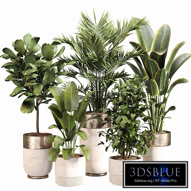 Indoor Plant Set 052