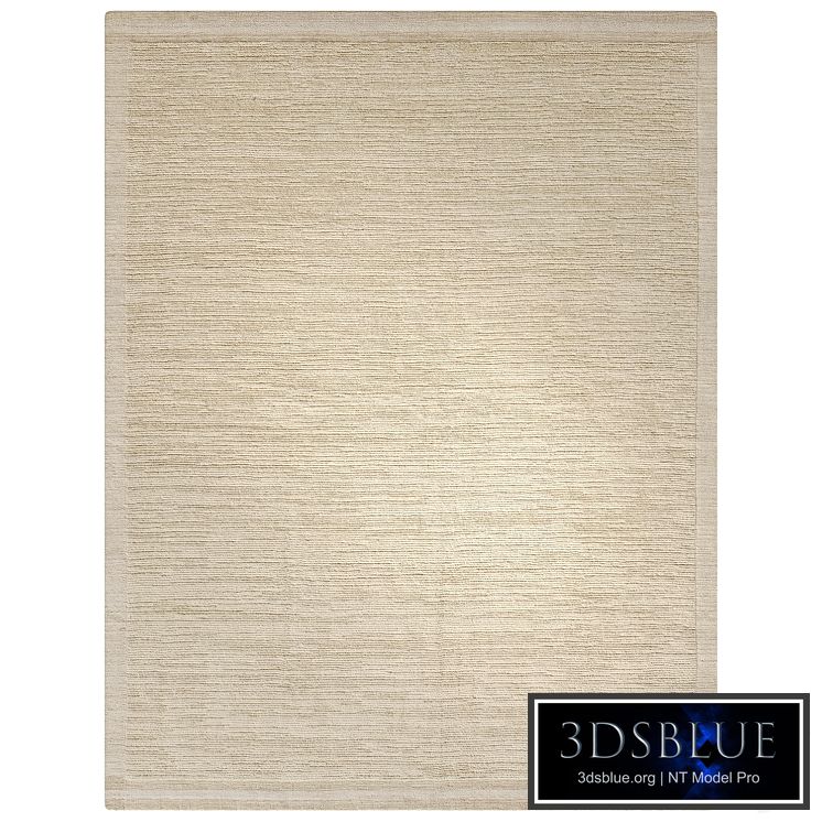 Pottery Barn/Flannery Performance Rug