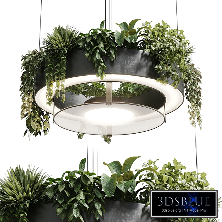 circle pot light pendant - plant light hanging 21