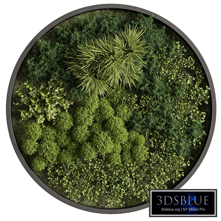 Circle Plant Frame - Fitowall 104