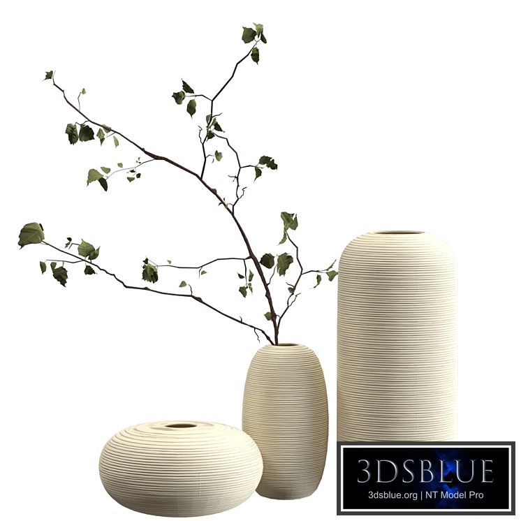 Vases with branch