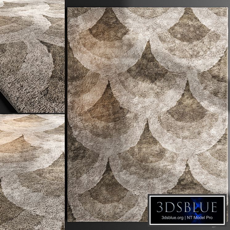 Carpet ETRO Home Interiors ARCHES 400 x 300 cm