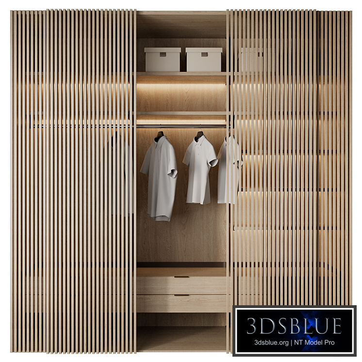 Wardrobe wardrobe 10