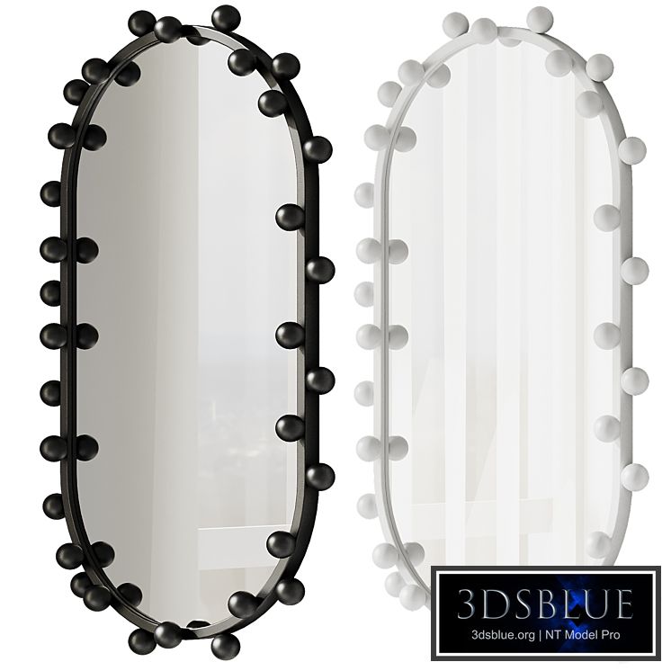 Hail Mirror by Rachel Donath