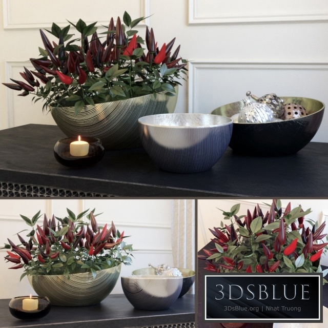 Decorative set with peppers by Kelly Hoppen