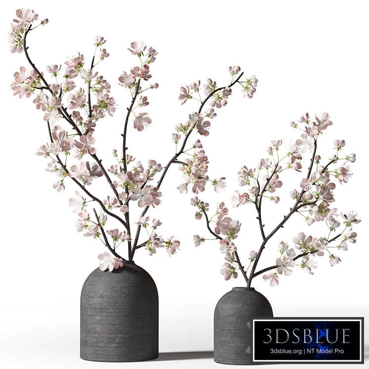 Two flowering branches in black vases