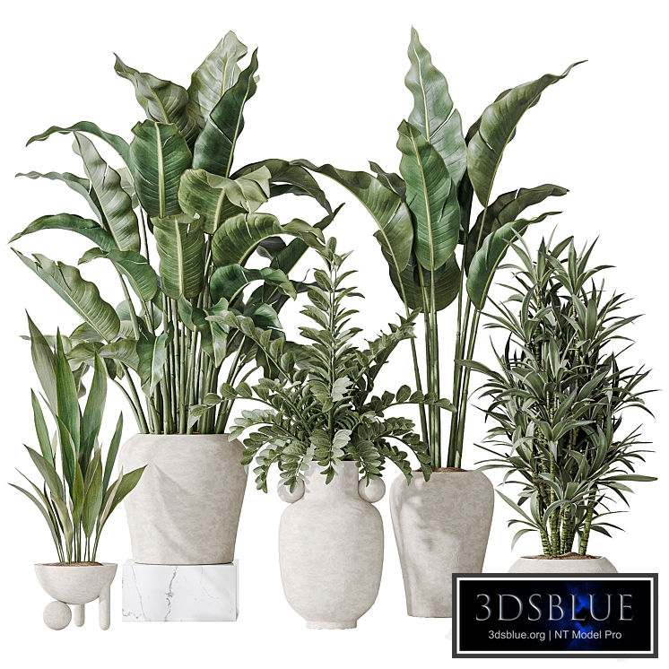 Indoor plant set 21