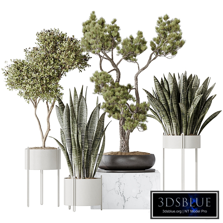 Indoor plant set 22