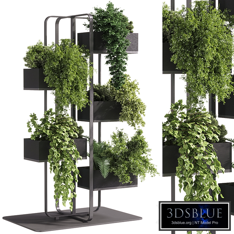 indoor plants - 53 Plant Stand