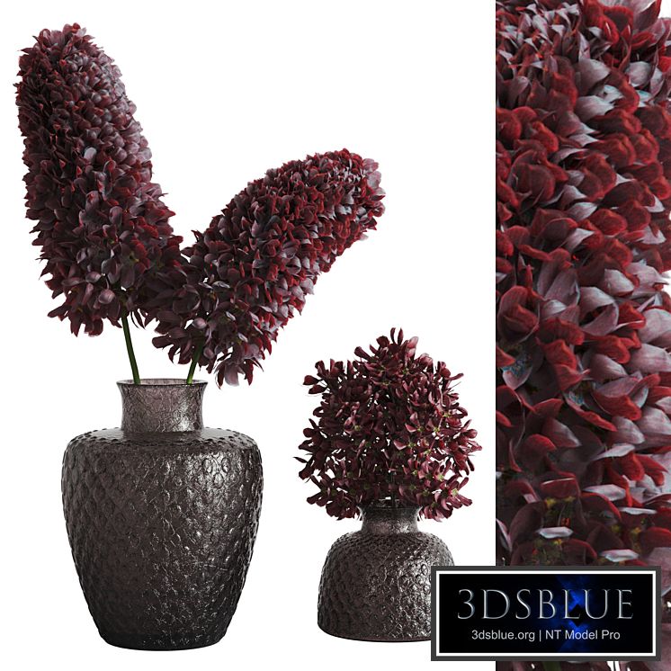 decorative plants007