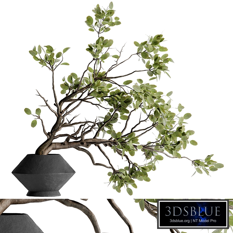 twig bouquet inserted into clay pot 02