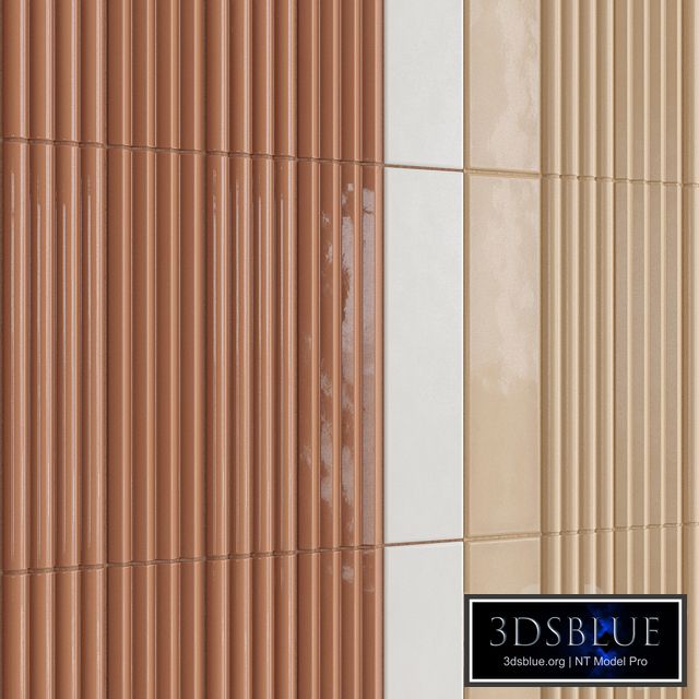 Equipe Costa Nova FullCollect