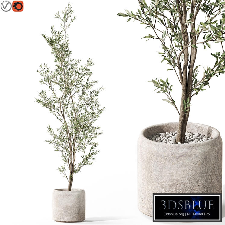 Plants collection 1050