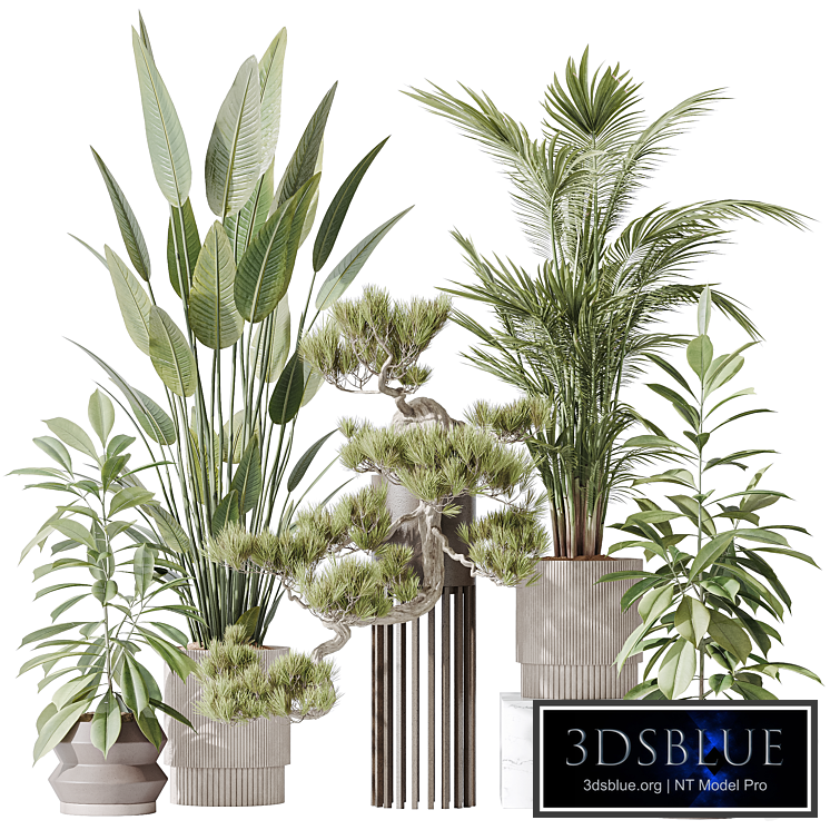 Indoor plant set 31
