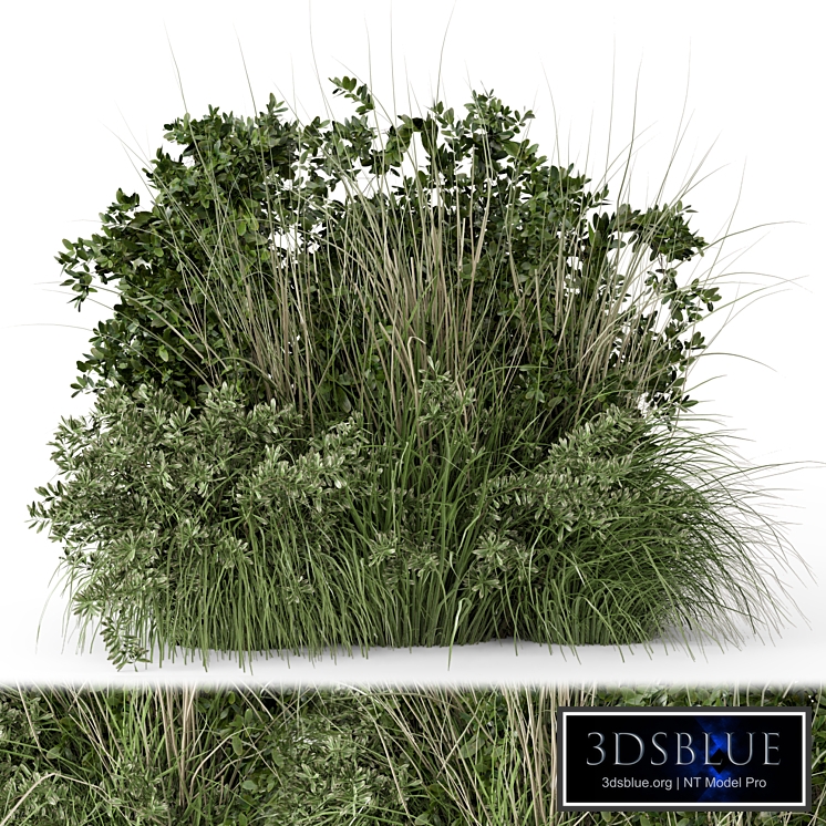 Outdoor Plants Bush -Bush Set 2092