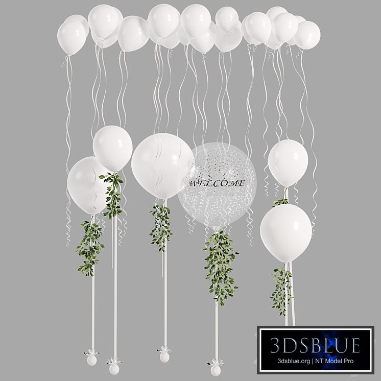 Set of balloons with ruscus branches
