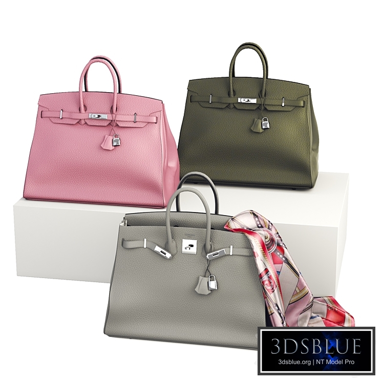Hermes birkin bag