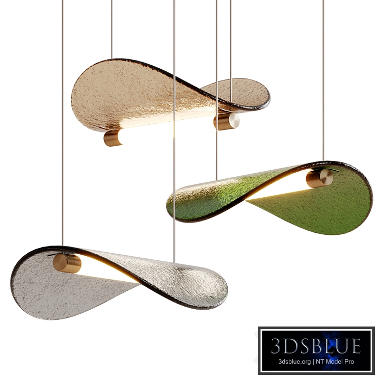 Manta by Paolo Castelli