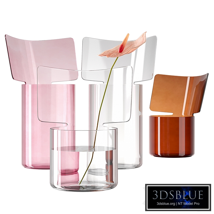 Riflessi vase by Paola C with Anthurium flower