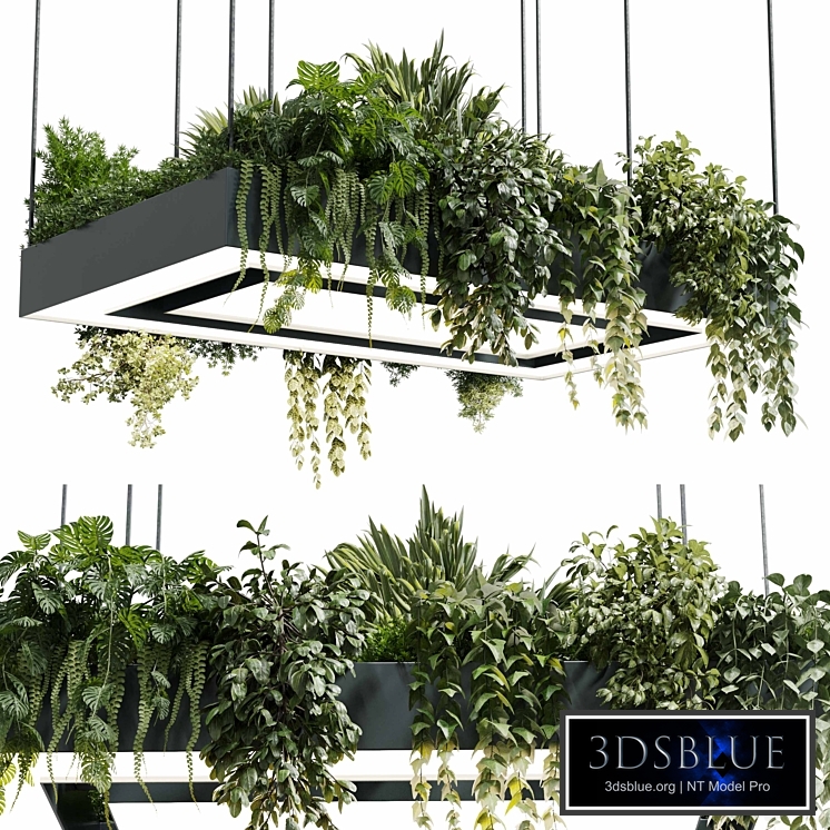 Rectangle pot light pendant - plant light hanging - indoor plant 22 corona