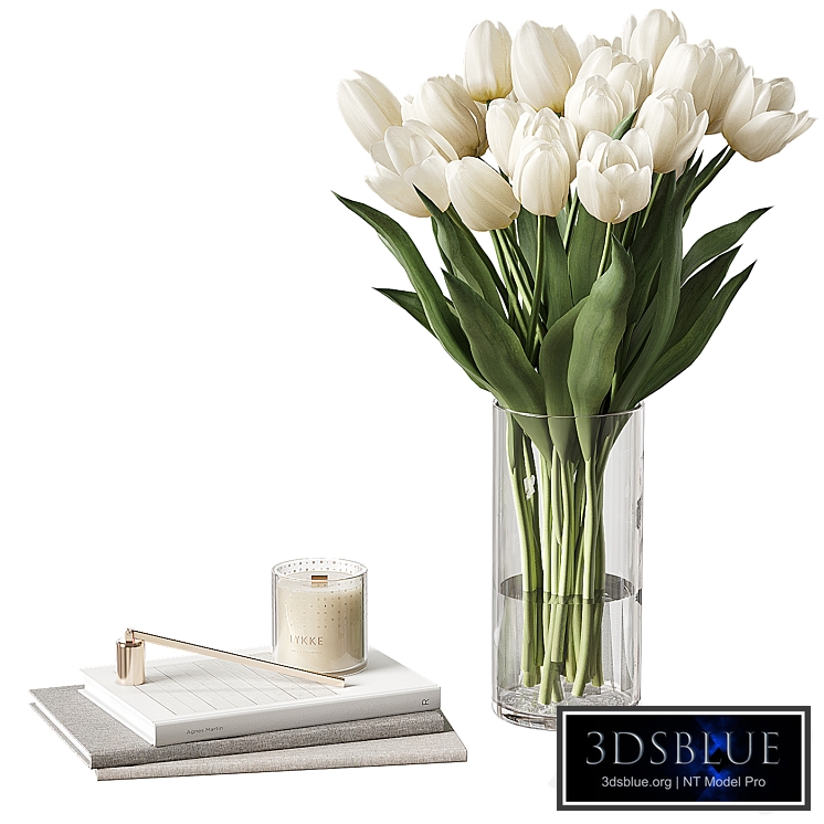 Decor set with tulips