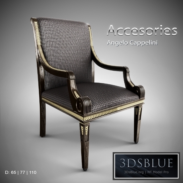 Angelo Cappelini / Accesories