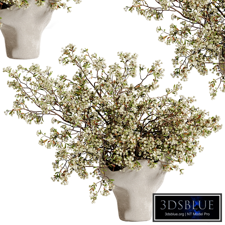 plants bouquet vase 48