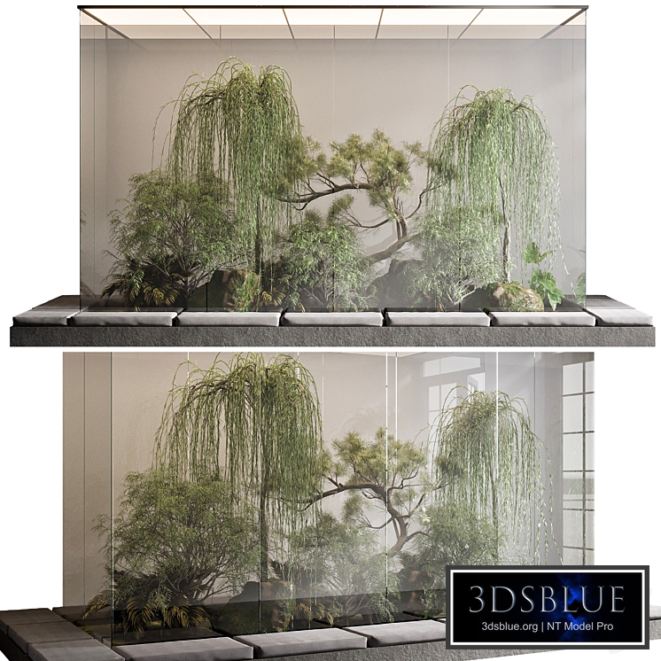 PLANTS BEHIND GLASS NO.1