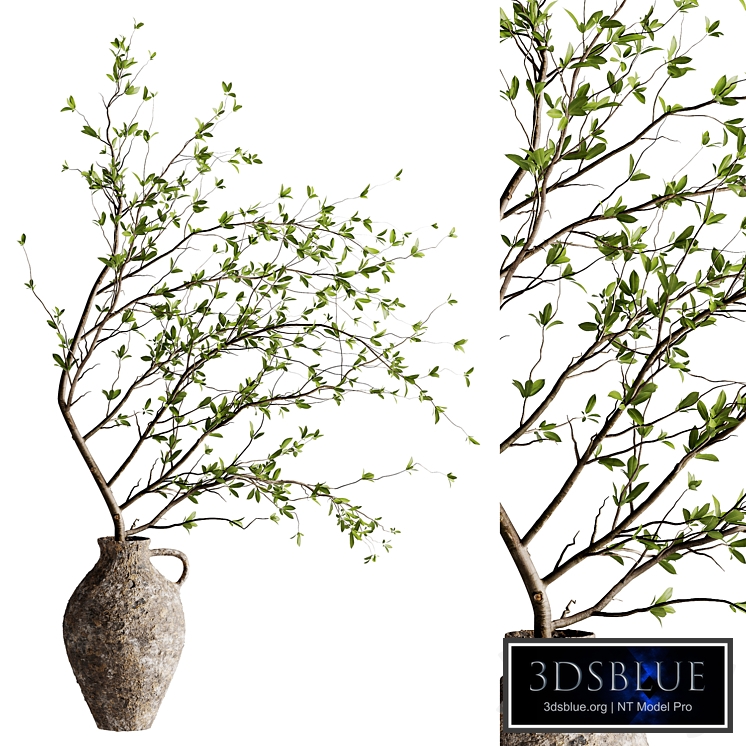 bouquet of twigs inserted into a clay pot 06