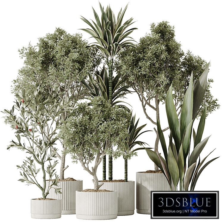 Indoor plants set 63