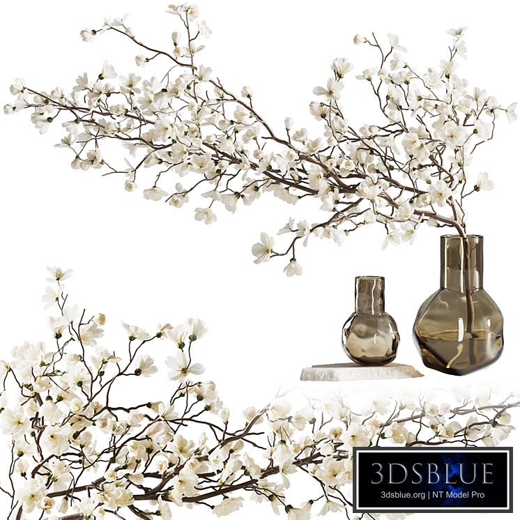 Blooming branch in a vase