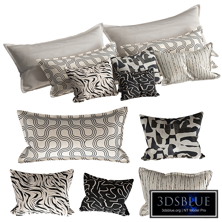 Monochrome Pillows Set