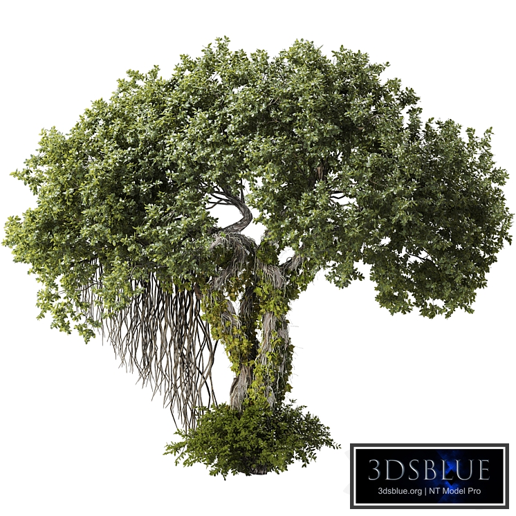 Jungle Tree and ivy plants 320