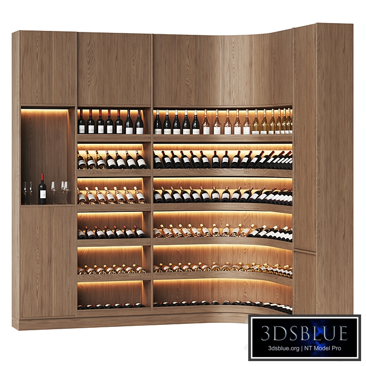 Wine library for a home wine cellar or restaurant