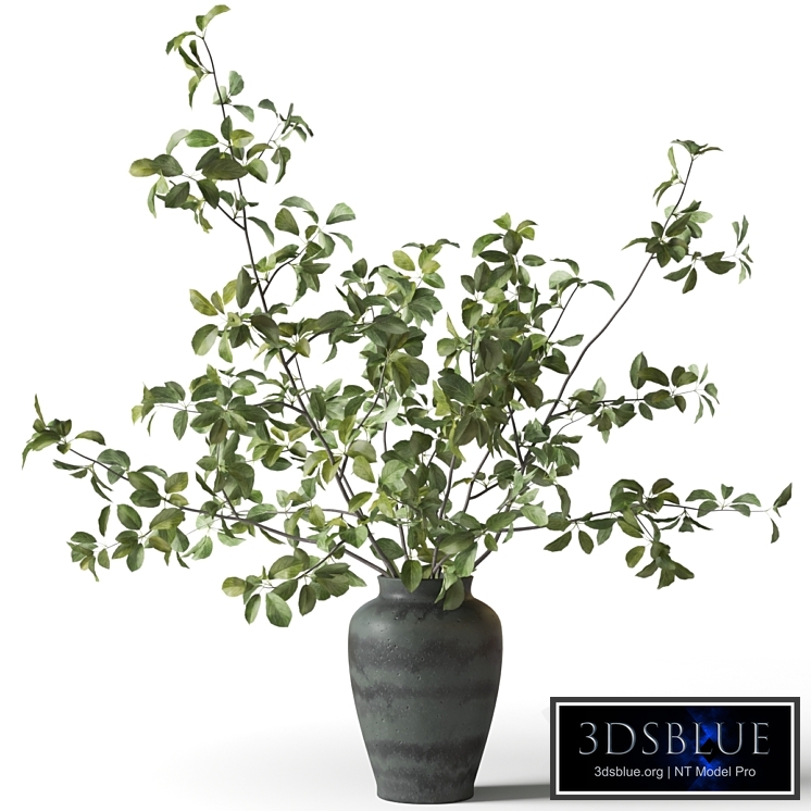 Green branches in a green clay vase