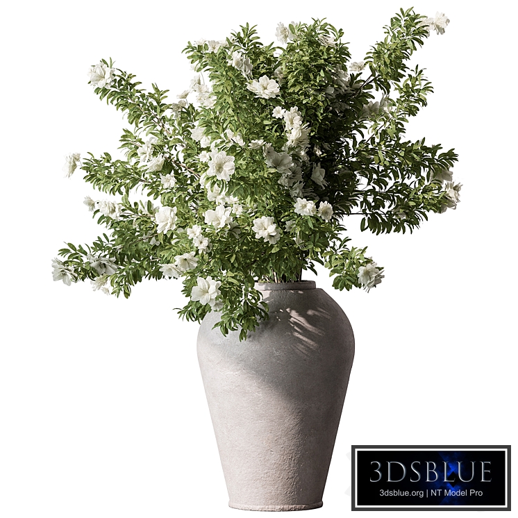 Indoor Plant 737 - Flower Bush