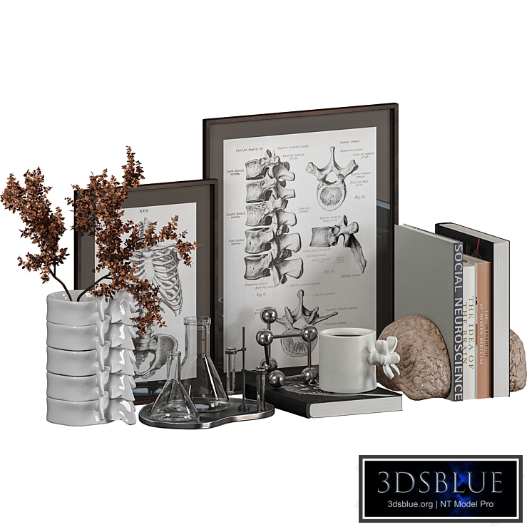 Decorative Set for Medical Institutions