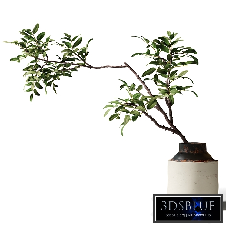 Branch with green leaves in an old metal vase