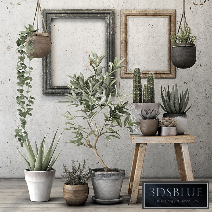 Decorative plant set