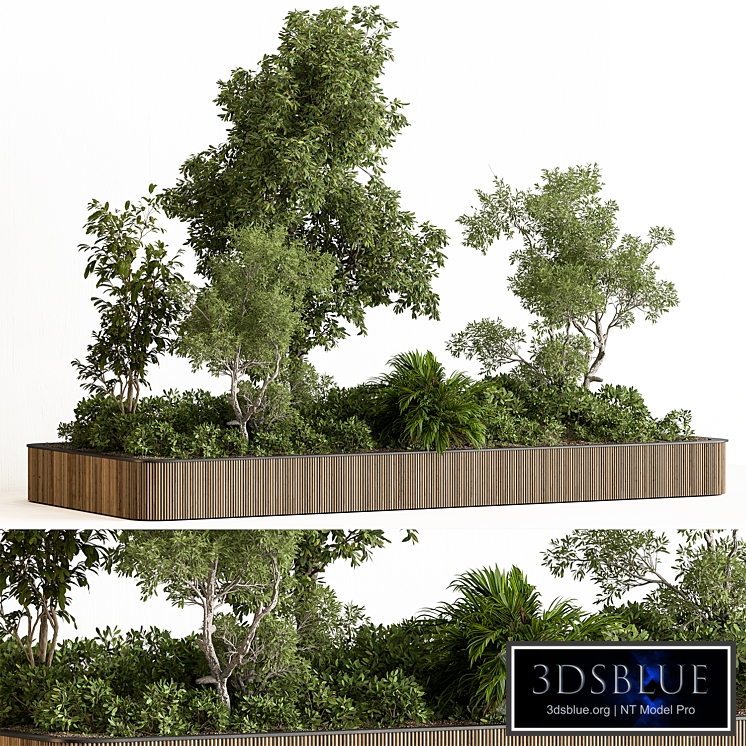 Indoor Plant 750 - Plant Box